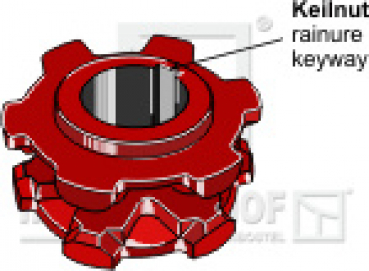 Kettennuss/Umlenkrolle für Kettenteilung  14 X 50 mm  Zähne 5  Keilnut 18 mm passend für Bergmann Streuer und diverse Hersteller