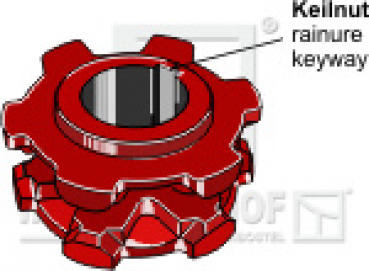 Kettennuss/Umlenkrolle für Kettenteilung  12 X 42 mm  Zähne 5 Keilnut 14 mm passend für Heywang Streuer und diverse Hersteller