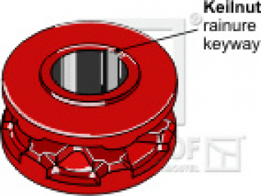 Kettennuss/Umlenkrolle für Kettenteilung  9 X 31 mm  Zähne 6 Keilnut 10 mm passend für Kemper Streuer und diverse Hersteller