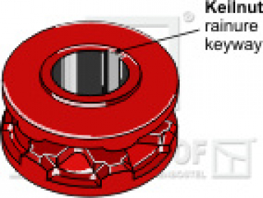 Kettennuss/Umlenkrolle für Kettenteilung  11 X 35 mm  Zähne 5 Keilnut 10 mm passend für Kemper Streuer und diverse Hersteller