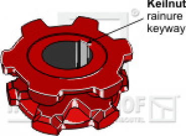 Kettennuss/Umlenkrolle für Kettenteilung  13 X 45 mm  Zähne 6  Keilnut 14 mm passend für Strautmann  Streuer und diverse Hersteller