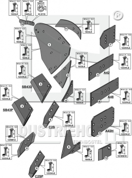 Preview: Körpertyp C40