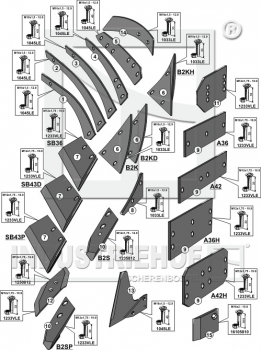 Preview: Körpertyp BS20