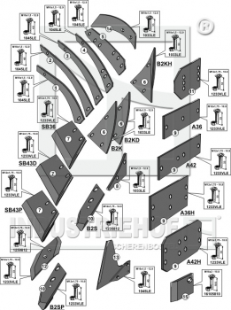 Preview: Körpertyp BS20