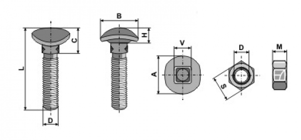 Schraube mit ovalem Kopf, Vierkantansatz M10  30.041