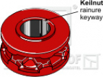 Kettennuss/Umlenkrolle für Kettenteilung  8 X 31 mm  Zähne 6 Keilnut 12 mm passend für Fahr Streuer und diverse Hersteller